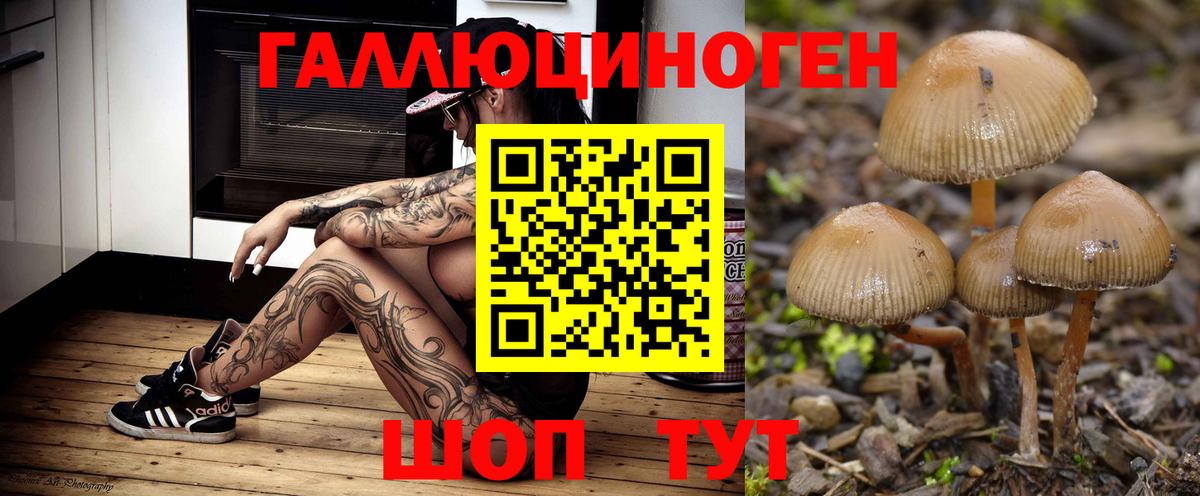 Галлюциногенные грибы прущие грибы  Вход с VPN  Зима 